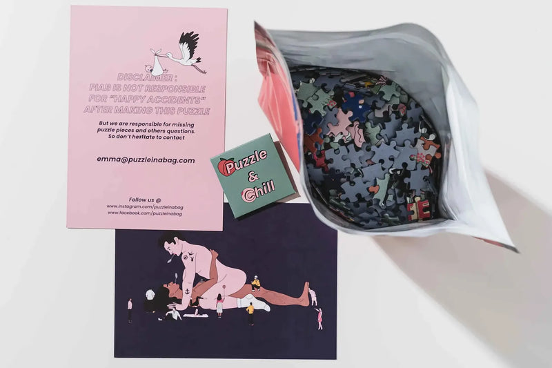 Piab Puzzle In A Bag Internet
