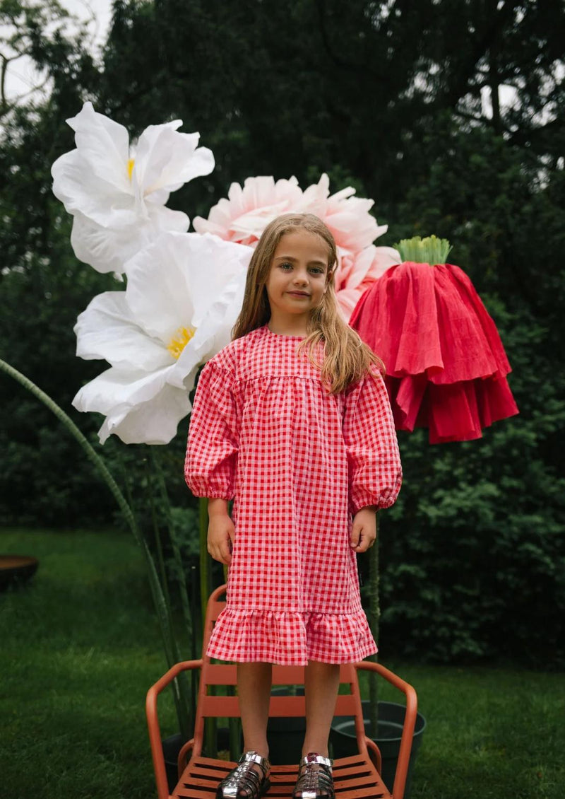Daily Brat Silly Checked Dress Sunny Red