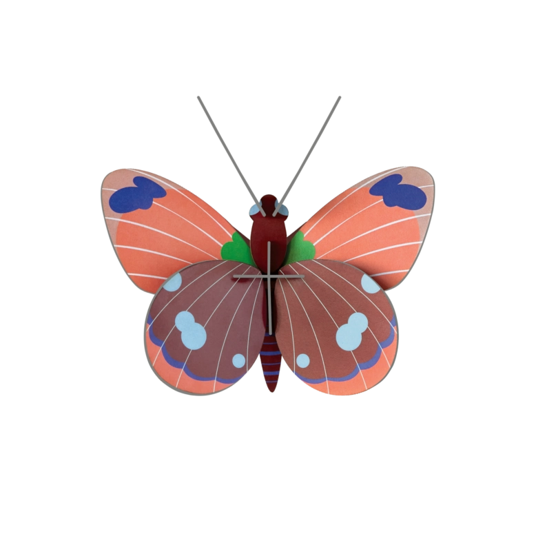 Studio Roof Delias Butterfly