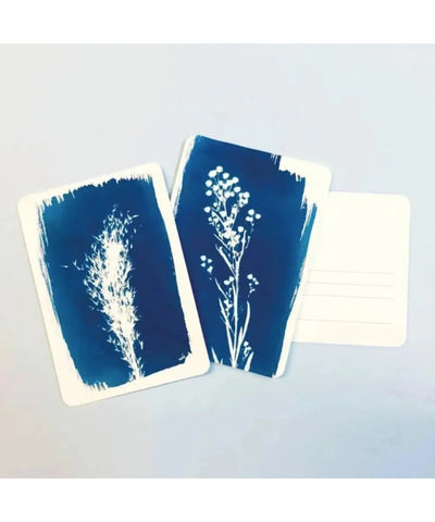 DIY Cyanotype Kit Postcard