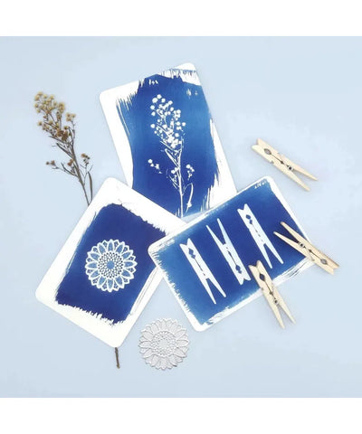 DIY Cyanotype Kit Postcard