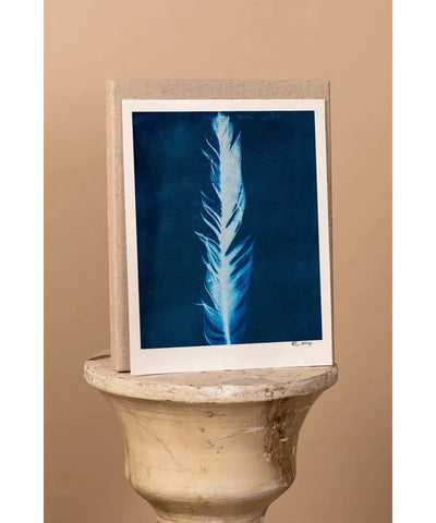 DIY Cyanotype Kit Postcard