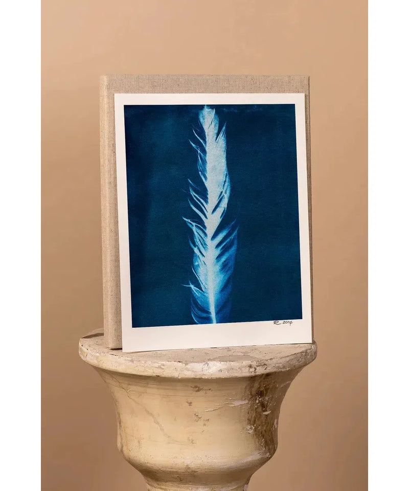 DIY Cyanotype Kit Postcard