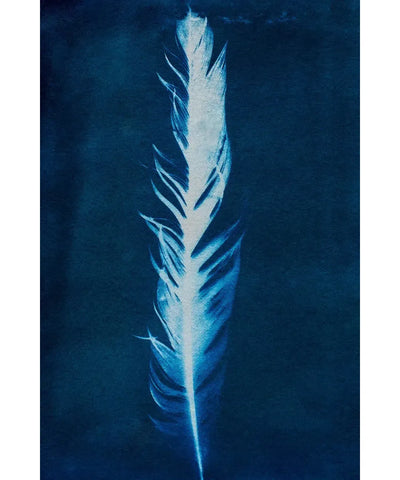DIY Cyanotype Kit Postcard