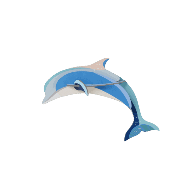 Studio Roof Dolphin
