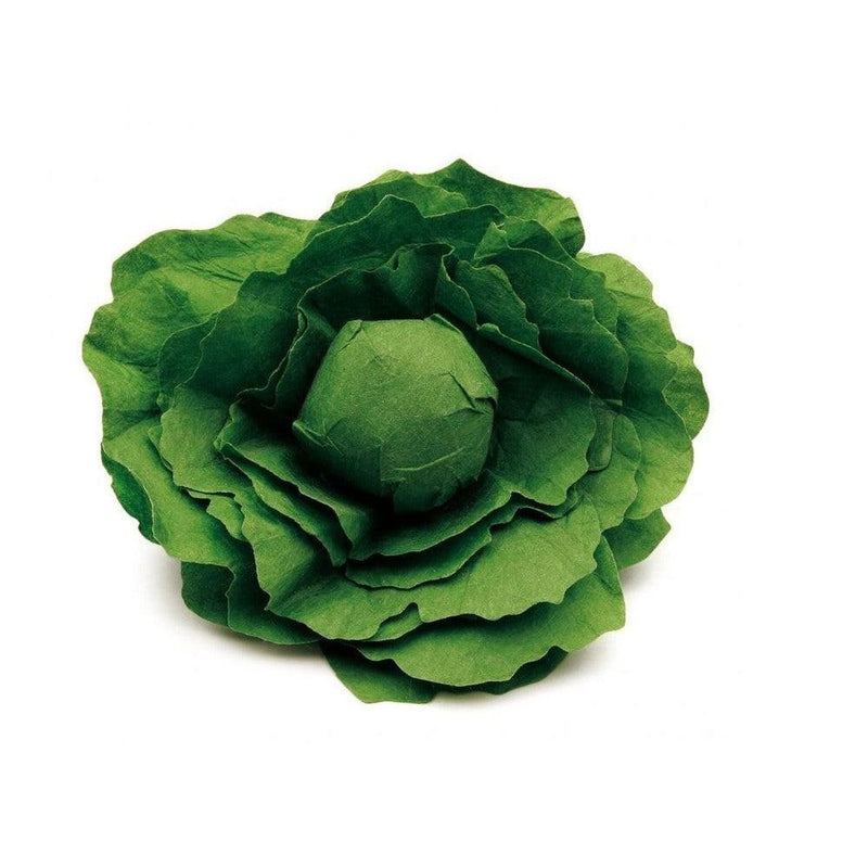 Erzi Lettuce - Studio Play
