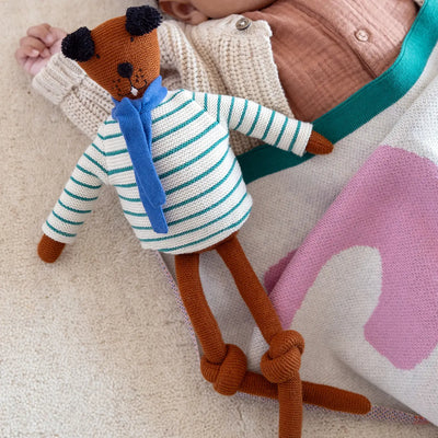 Sophie Home Ragdoll Hond