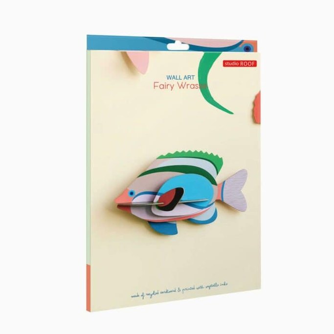 Studio Roof Fairy Wrasse