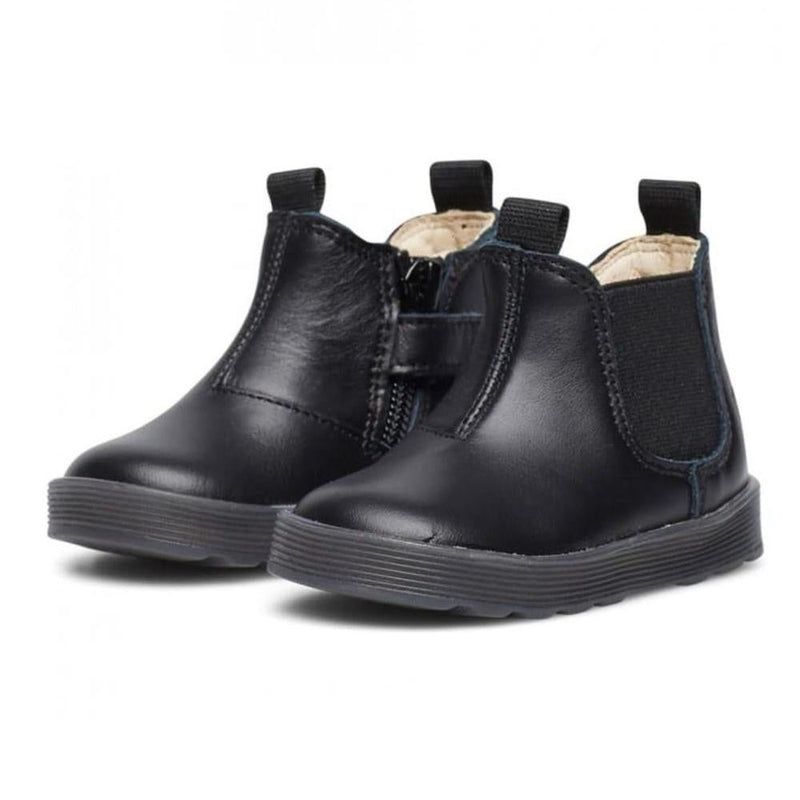 Falcotto Tarbell Calf Black - Studio Play