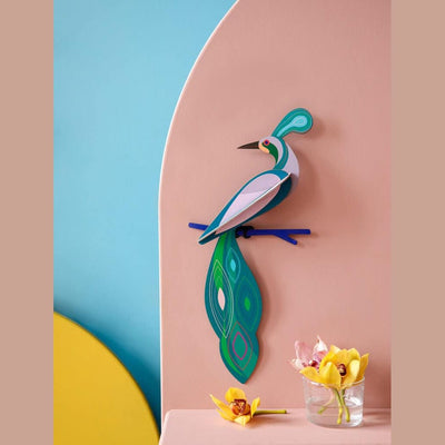 Studio Roof Paradise Bird, Fiji