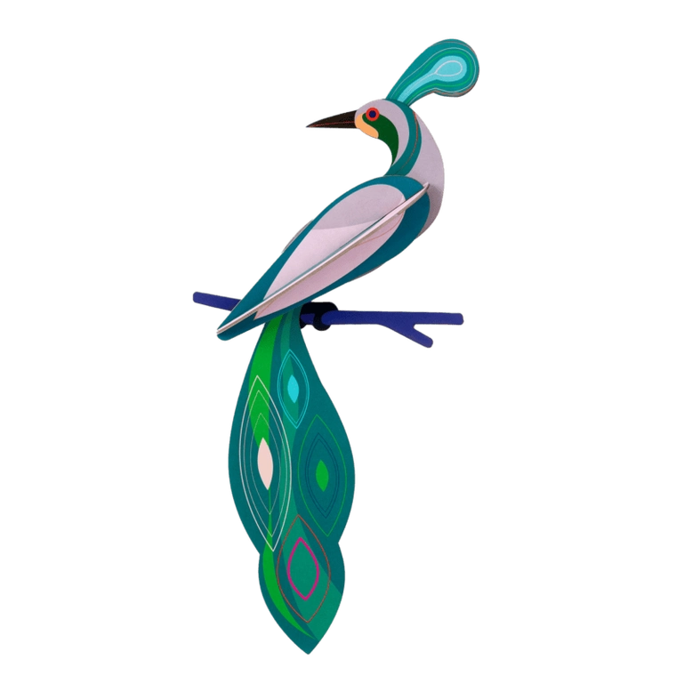 Studio Roof Paradise Bird, Fiji