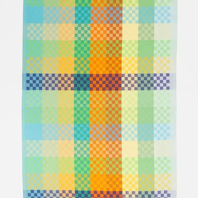Foekje Fleur Tea Towel #57B Checkered Check