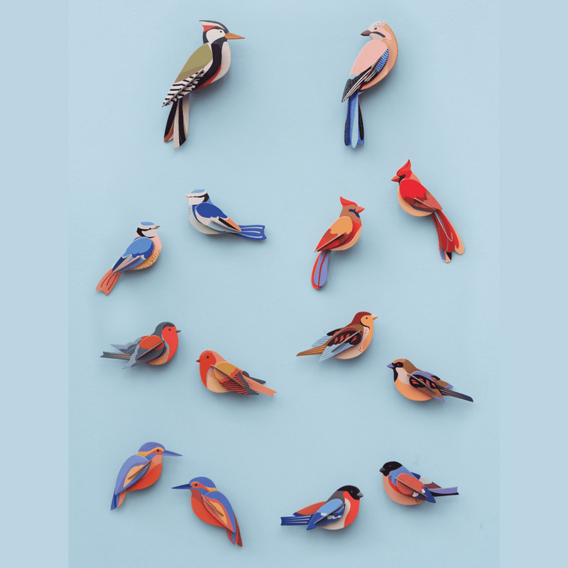 Studio Roof Woodpecker