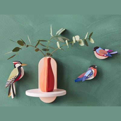 Studio Roof Woodpecker