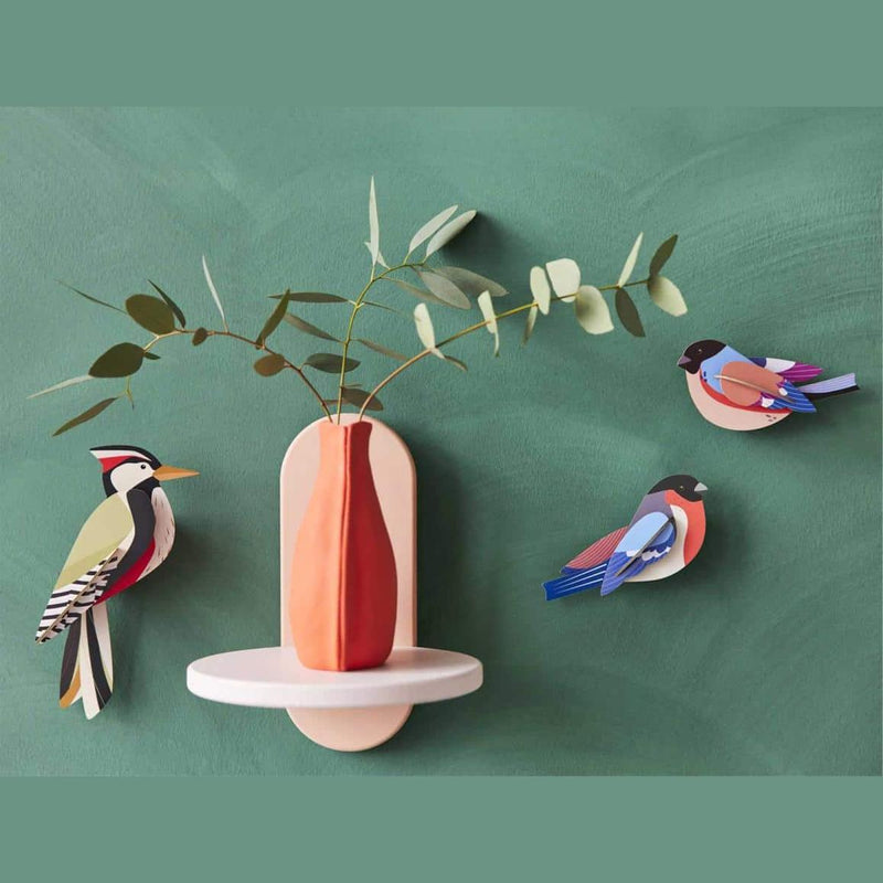 Studio Roof Woodpecker