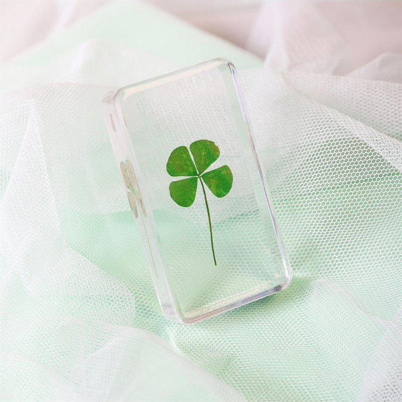 &Klevering Cube Lucky Clover - Studio Play
