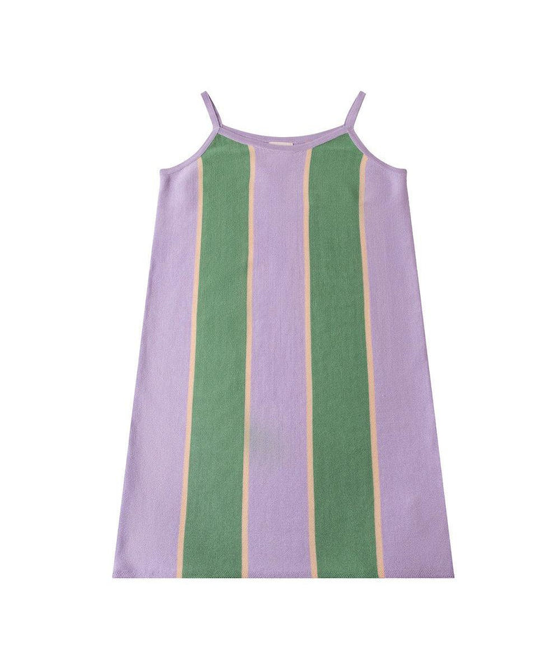 Knit Planet Stripe Dress Light Purple/Green