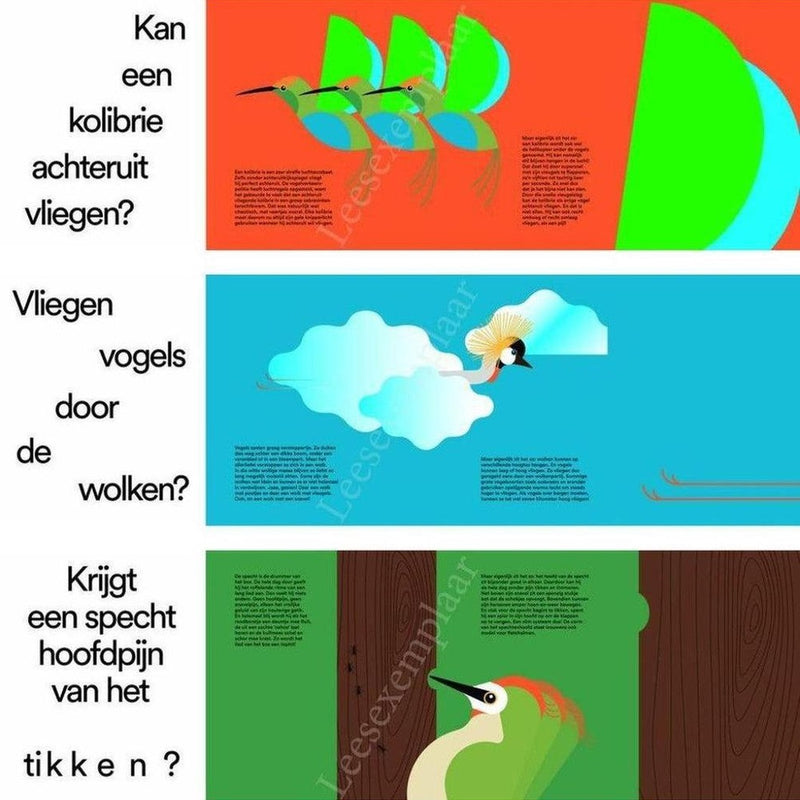 Kunnen Vogels Niezen?