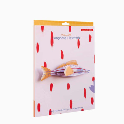 Studio Roof Longnose Hawkfish