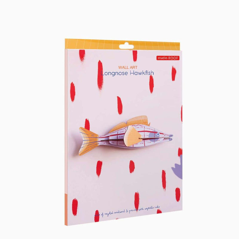 Studio Roof Longnose Hawkfish