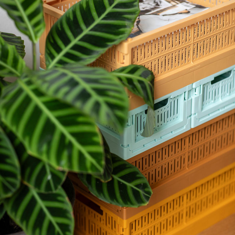 Made Crate Toffee Midi - Studio Play