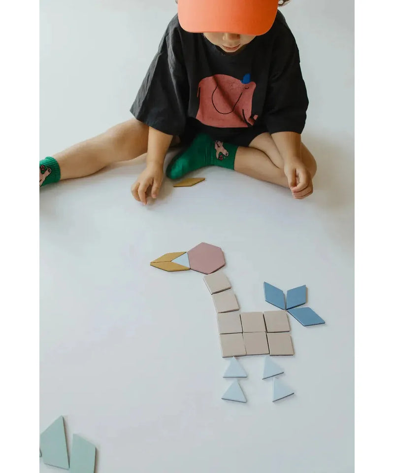 Moes Magnetic Puzzle