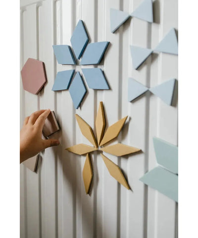 Moes Magnetic Puzzle