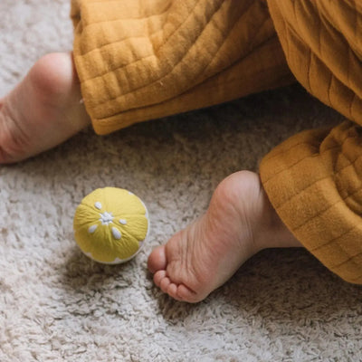 Oli & Carol Bad & Bijtspeeltje Fruit Salade Sensory Balls - Studio Play