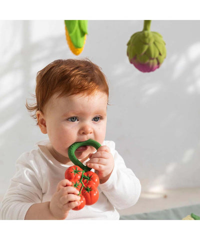 Oli & Carol Rammelaar & Bijtspeeltje Tomato