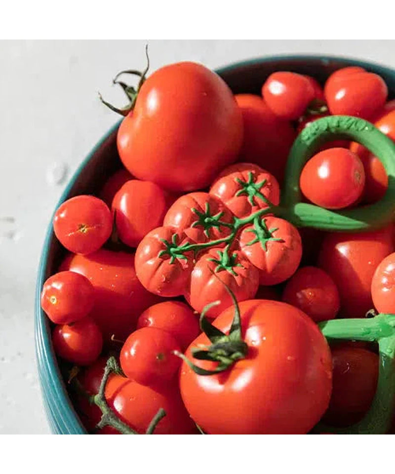 Oli & Carol Rammelaar & Bijtspeeltje Tomato