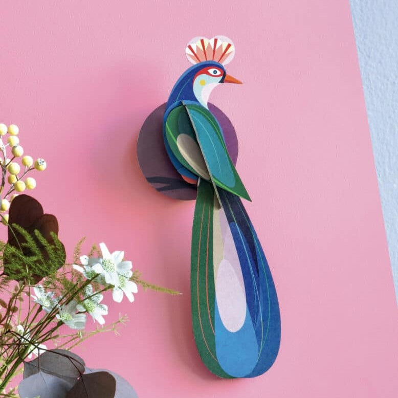 Studio Roof Paradise Bird, Banda