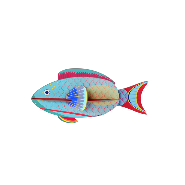 Studio Roof Parrotfish