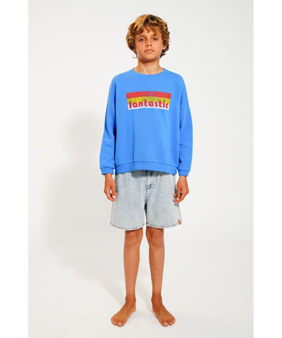 Piupiuchick Sweatshirt Blue With Fantastic Print