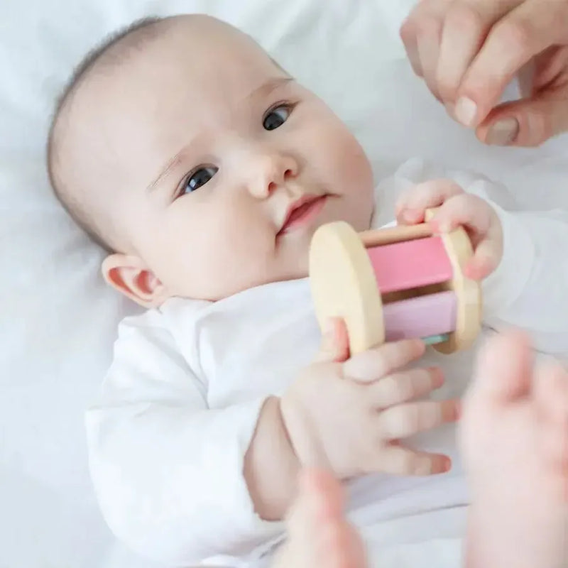 Plantoys Rammelaar Roller Pastel