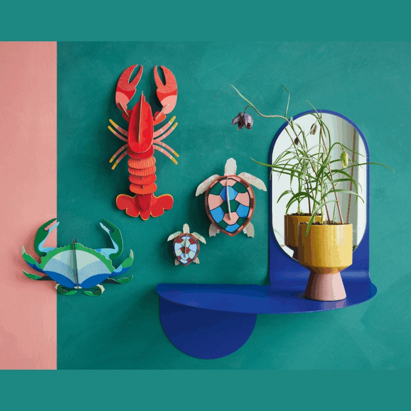 Studio Roof Sea Turtles