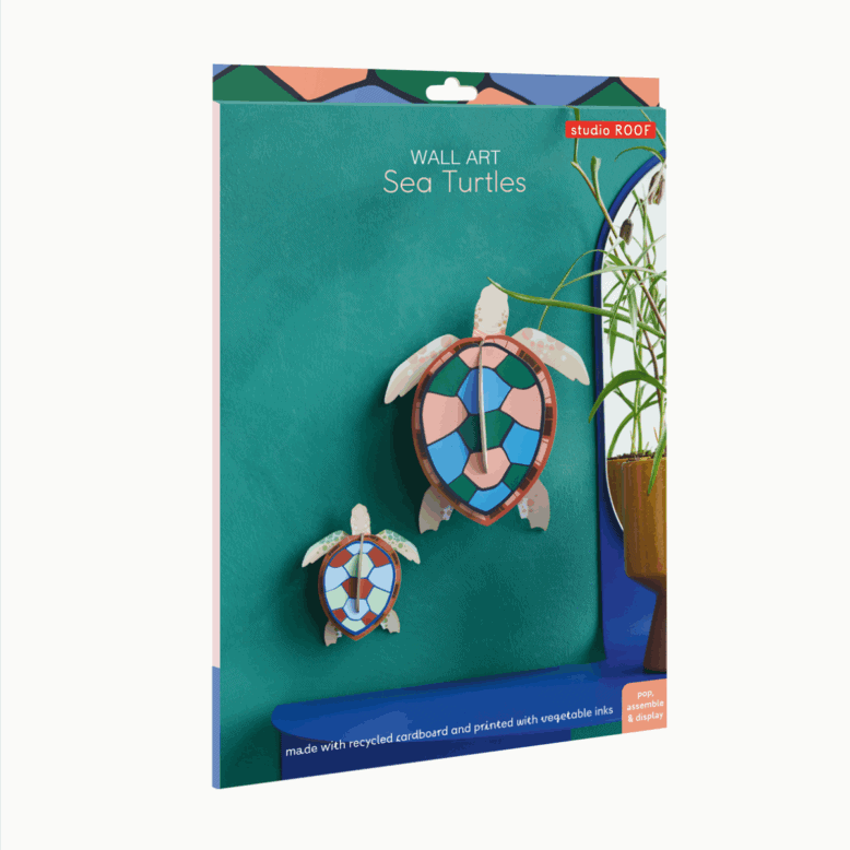 Studio Roof Sea Turtles