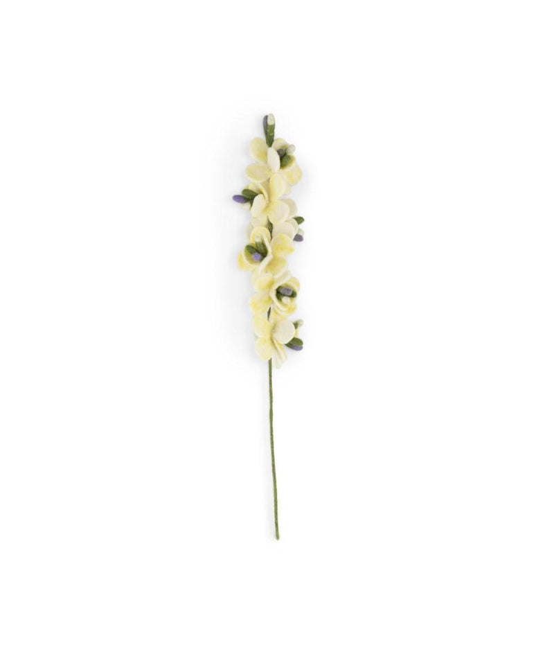 Sjaal Met Verhaal Bloem Ridderspoor Wit