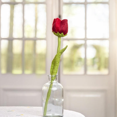 Sjaal Met Verhaal Bloem Tulp Robin Rood