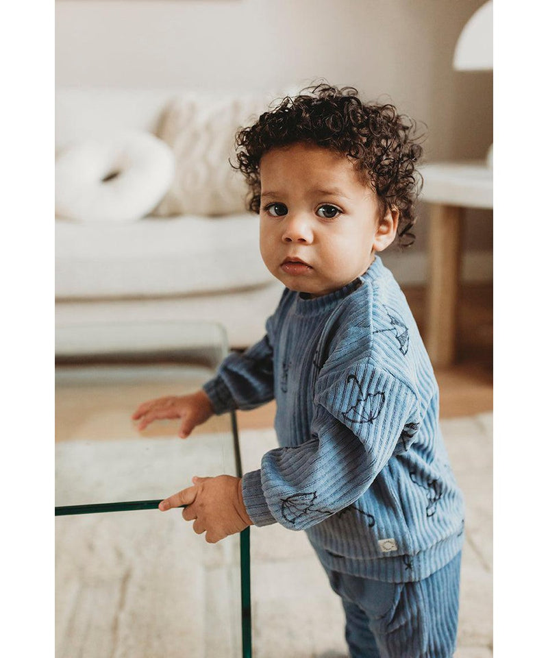 Sproet & Sprout Baby Sweatpants Velvet Rib Shadow Blue
