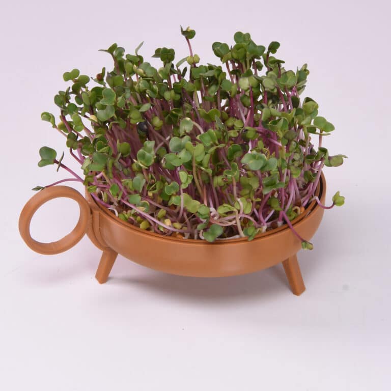 Studio Harm & Elke Sprouting Planter Brown