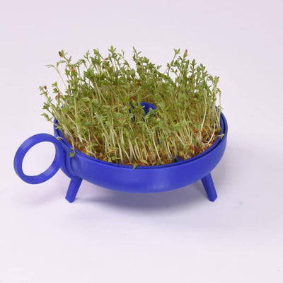 Studio Harm & Elke Sprouting Planter Cobalt