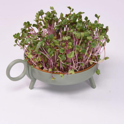 Studio Harm & Elke Sprouting Planter Green