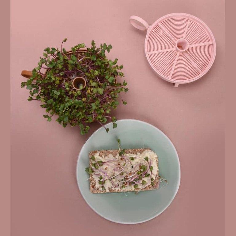 Studio Harm & Elke Sprouting Planter Pink