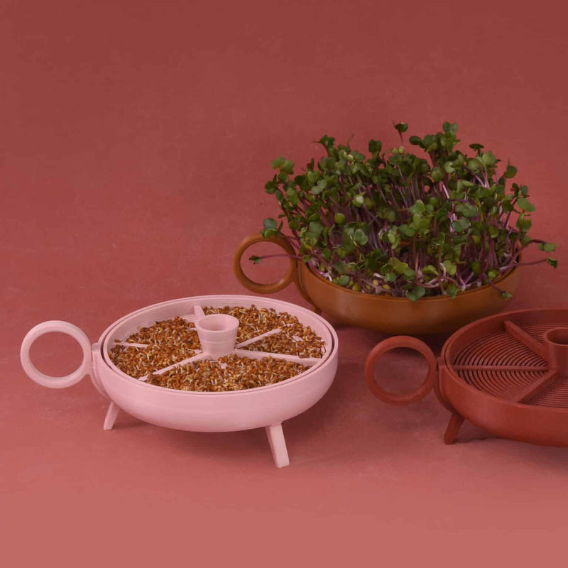 Studio Harm & Elke Sprouting Planter Yellow