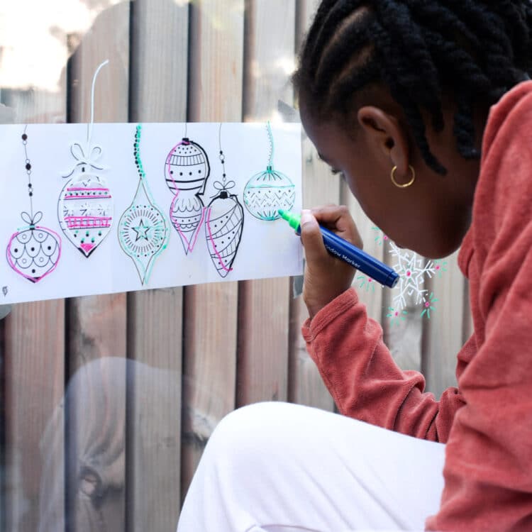 Super Petit Window Marksers &