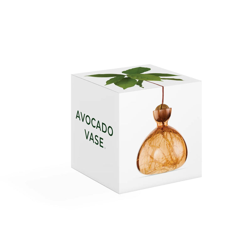 Ilex Studio Avocado Vase Sweet Apricot