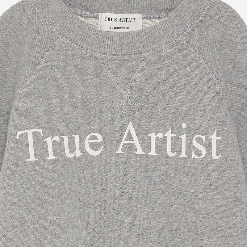 True Artist Sweatshirt n01 Melange Gray - Studio Play