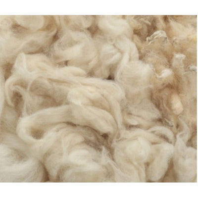 Warmbat Durack KIDS Suede Boot Cognac