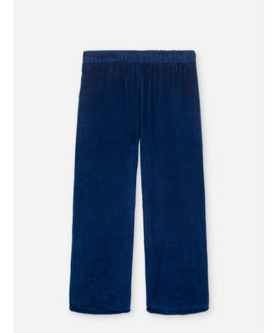 We Are Kids ADULT Pantalon Tomaso Ribbed Velvet Midnight Blue