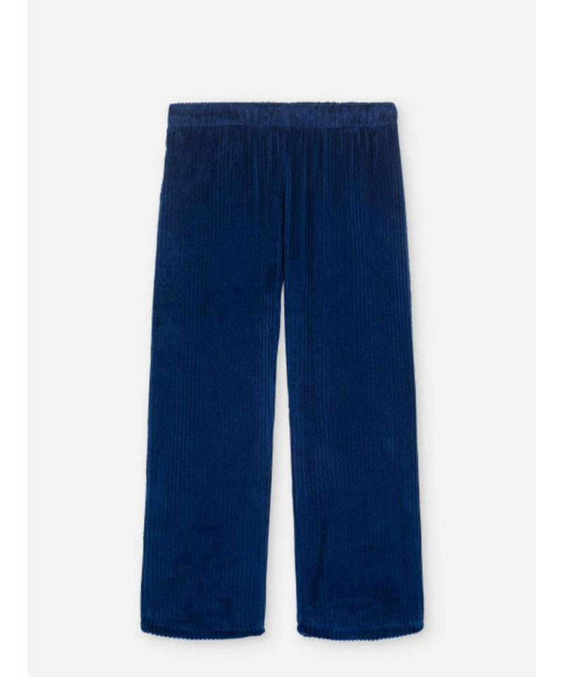 We Are Kids ADULT Pantalon Tomaso Ribbed Velvet Midnight Blue